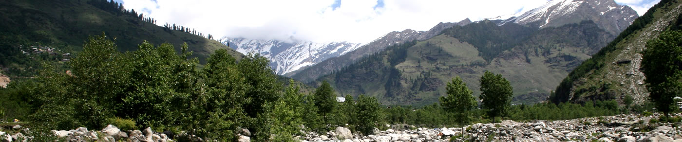 banner-image